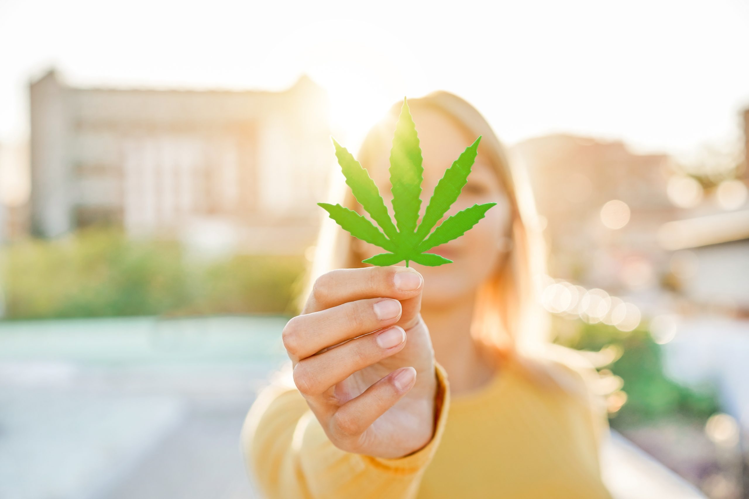A legalização da cannabis e seus impactos na sociedade